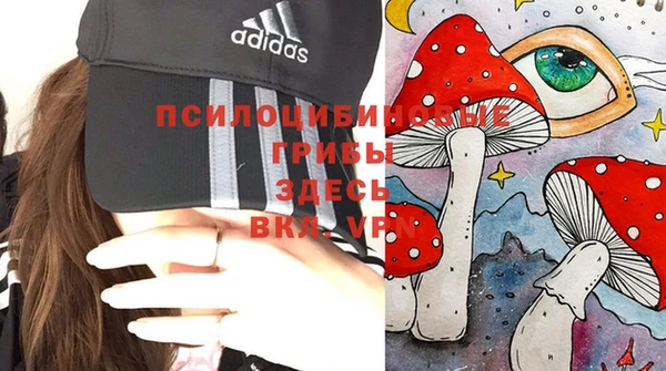кокаин перу Богданович