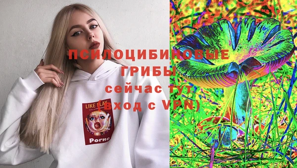 соль ск Богородск