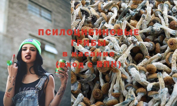 кокаин перу Богданович