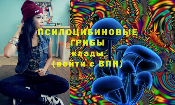 кокаин перу Богданович