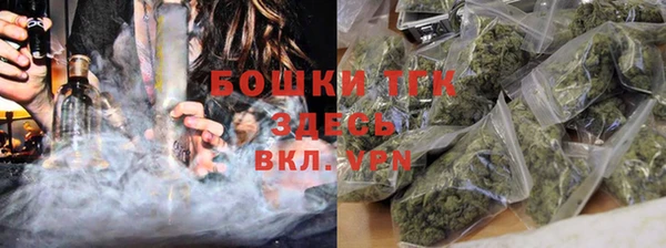 соль ск Богородск